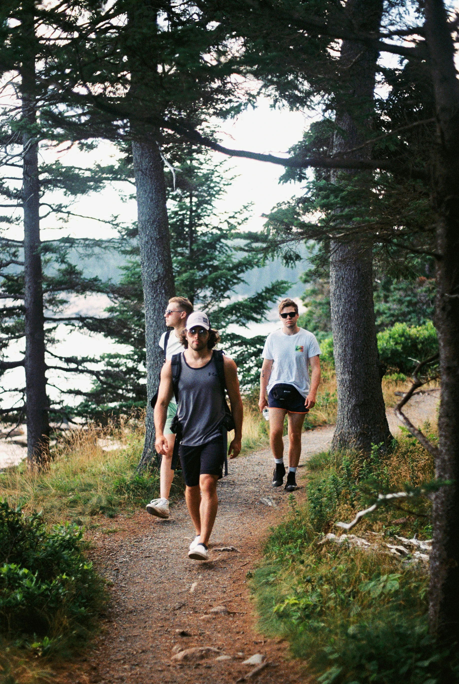 Three friends hiking a forest trail together